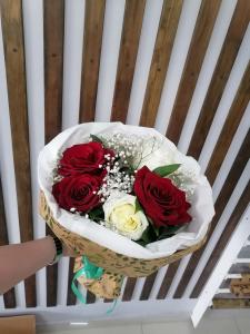 Романтический дуэт